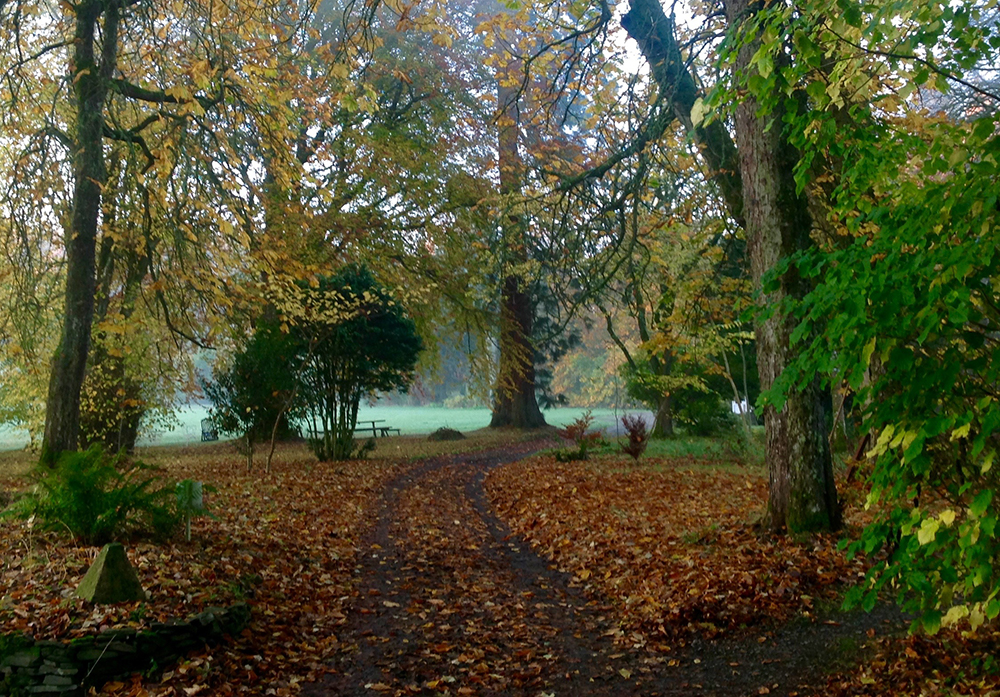 Autumn_walk.jpg