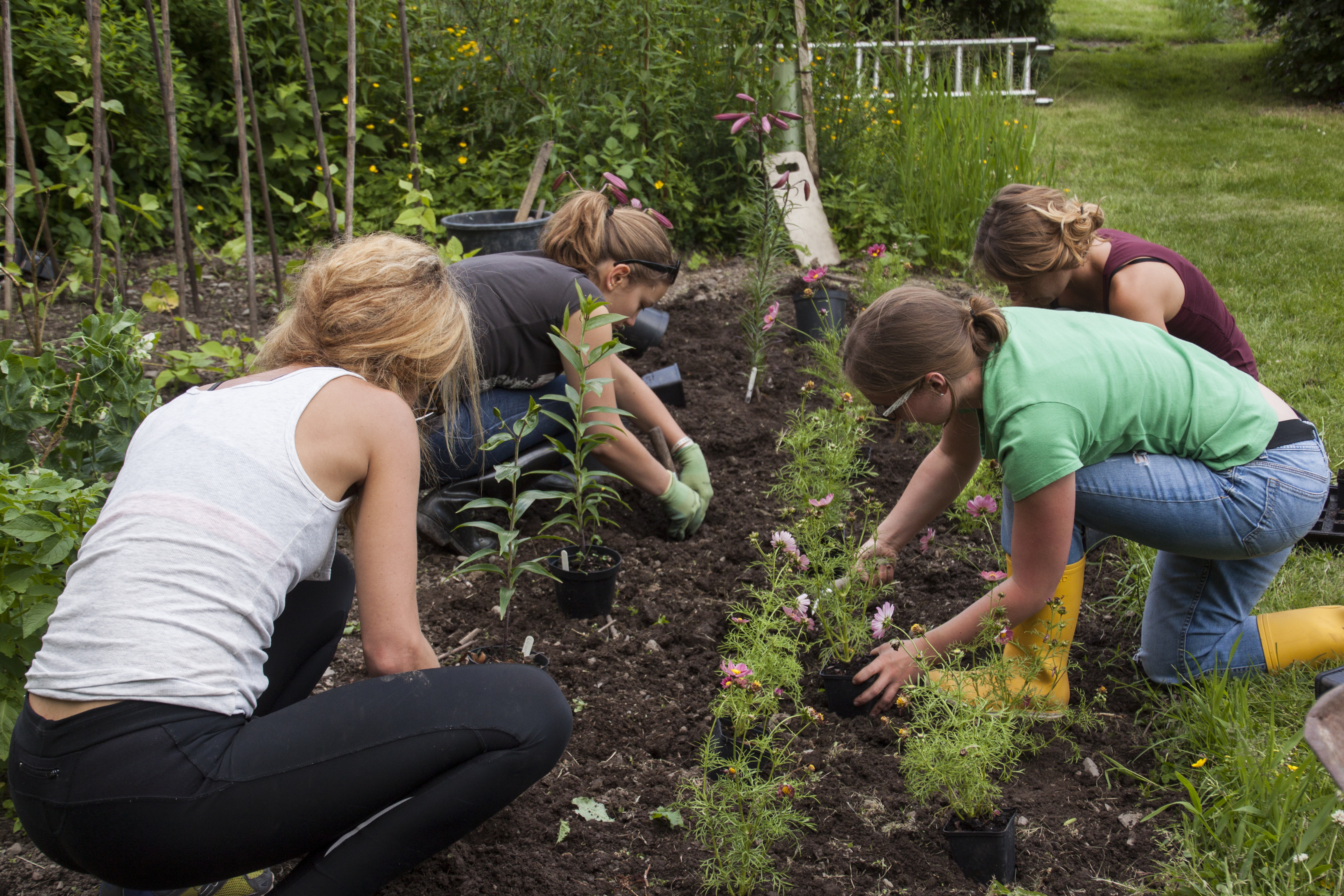 Garden_Working.jpg