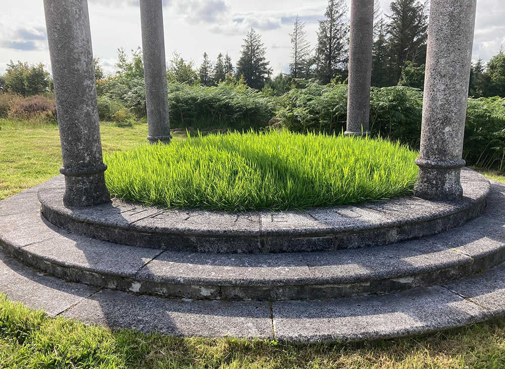 Monument_grass_sm.jpg