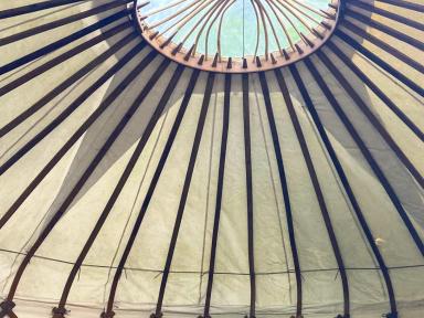1_Yurt_roof.jpg