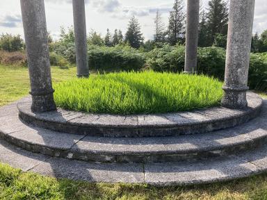 Monument_grass_sm.jpg
