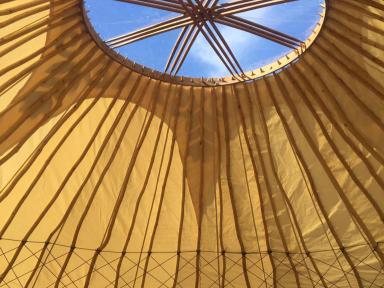 yurt_top_full.jpg