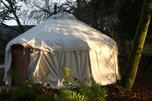 FNIyurt300.jpg